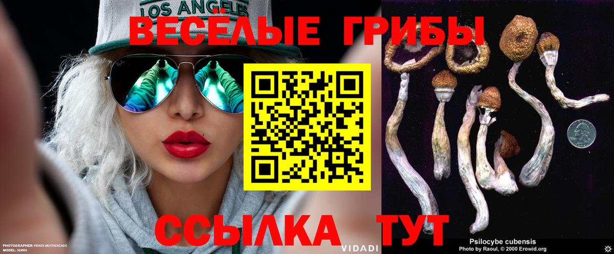 цены наркотик  Вход с VPN  Белгород  Псилоцибиновые грибы GOLDEN TEACHER 