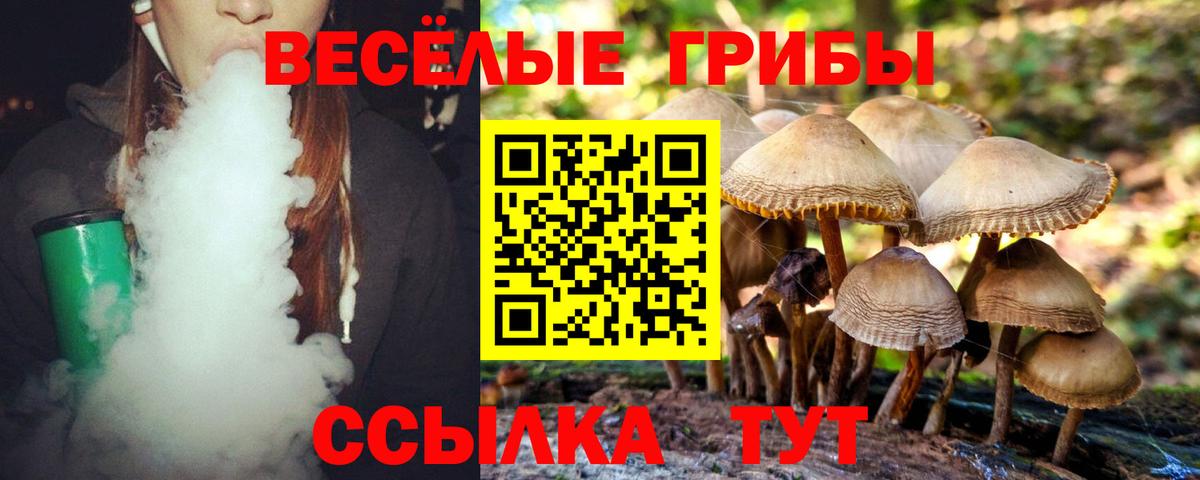 Галлюциногенные грибы MAGIC MUSHROOMS Белгород